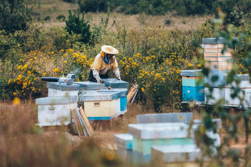 Beekeeper in protective wear working in his apiary. Beekeeping concept
