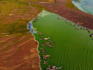 Aerial view of Ben Nom fishing village, a brilliant, fresh, green image of the green algae season on Tri An lake, with many traditional fishing boats anchored