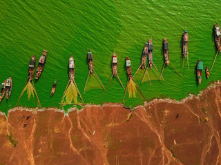 Aerial view of Ben Nom fishing village, a brilliant, fresh, green image of the green algae season...