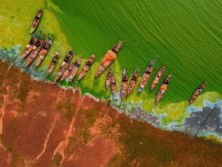 Aerial view of Ben Nom fishing village, a brilliant, fresh, green image of the green algae season...