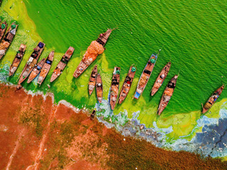 Aerial view of Ben Nom fishing village, a brilliant, fresh, green image of the green algae season...
