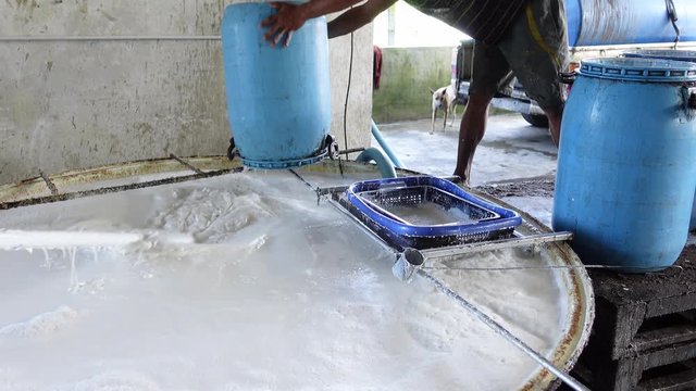 A source of local latex sales Of rubber farmers in Thailand to be processed into various products