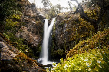 waterfall in the forest