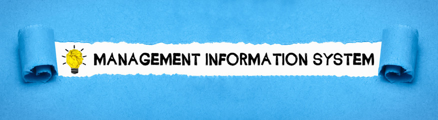 Management Information System © magele-picture