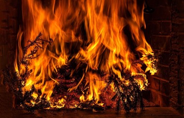 there is a fire in the fireplace with burning branches of a Christmas tree