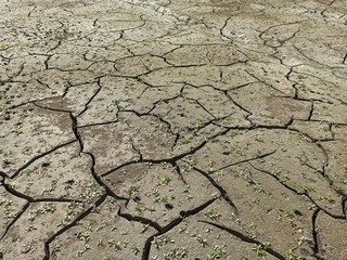 высохшая земля
