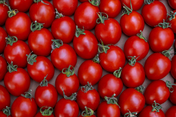Delicious red tomatoes. Summer tray market agriculture farm full of organic vegetables It can be used as background. (selective focus)