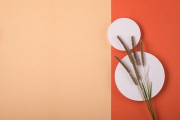 Autumn holiday concept. Flat lay style style. Holiday invitation and card mockup.