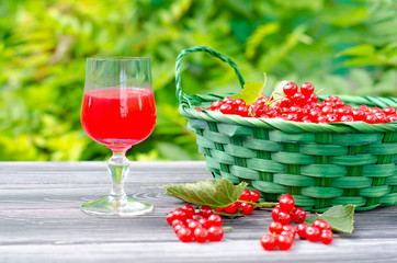 Fototapeta na wymiar A fresh red currant drink and a basket of juicy berries on a wooden table in the green garden. Summer healthy food, detox and new crop concept.