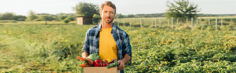 panoramic concept of farmer in plaid shirt holding box with fresh harvest while standing on...