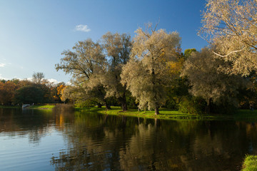 Autumn park landscape with bright trees