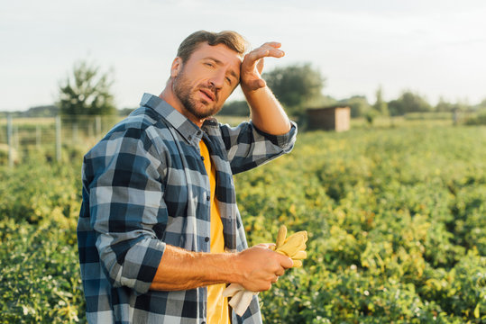 exhausted farmer in checkered shirt touching forehead while looking at camera