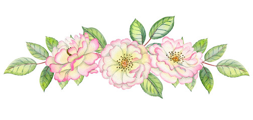 Watercolor hand drawn roses. Can be used as print, poster, postcrad, invitation, greeting card, packaging design, stickers.