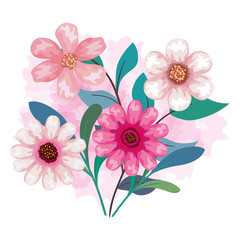 flowers color pink with branches and leaves vector illustration design