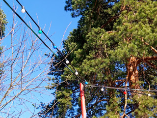 multicolored light bulbs on wires around the sports field, Moscow