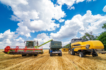 Obraz premium Three items of wheat gathering machines. Real process of wheat harvesting. Blue cloudy sky above.