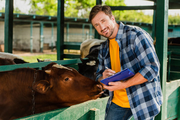 rancher in checkered shirt looking at camera while writing on clipboard near cow