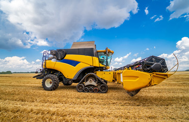 Ripe harvest concept.Yellow combine. Crop panorama. Cereal or wheat gathering. Heavy machinery....