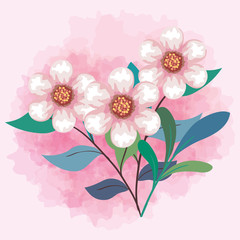 cute flowers color pink with leaves and branches vector illustration design