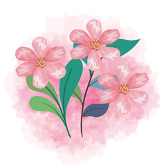 cute flowers color pink with branches and leaves, decoration natural vector illustration design