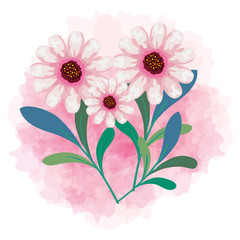 cute flowers color pink with branches and leaves vector illustration design