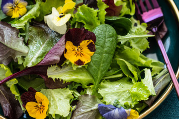 Spring salad with arugula, herbs and flowers.
