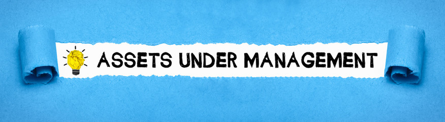 Assets under Management 