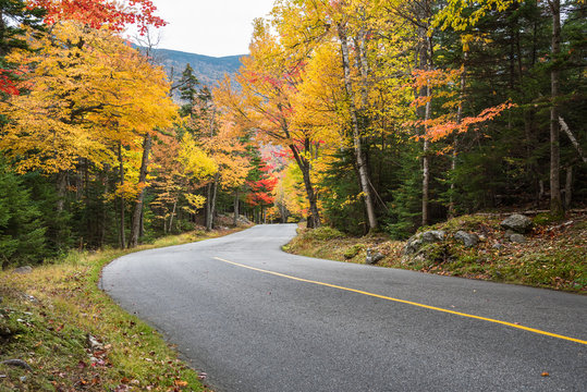 Steep winding  mountain road through a thick forest on a cloudy autumn day. Stunning autumn colours. Mount Washington, NH, USA.