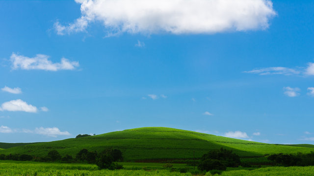 green field and blue sky