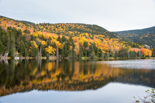 Autumn colours around a mountain lake on a cloudy day. Saco Lake, NH, USA.