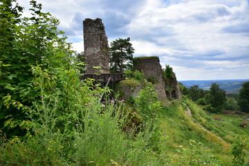 Fototapeta na wymiar Castle ruin Zubstejn