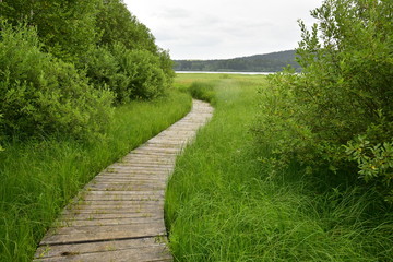 Educational trail Olsina Sumava