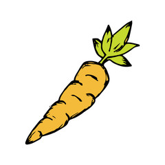 Carrot icon vector on hand drawn style