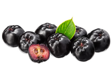 Chokeberry with green leaves isolated on white background. Clipping path and full depth of field