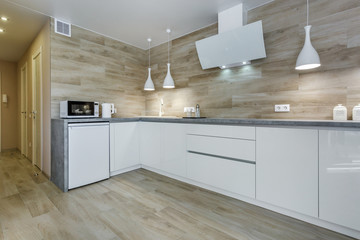 Interior of the modern luxure kitchen  in studio apartments in minimalistic style with light color