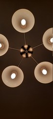 chandelier in the hotel