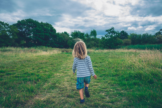 Little preschooler running in a meadow