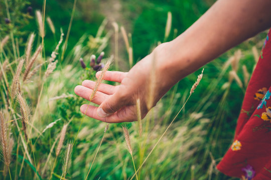 Hand of young woman touching grass
