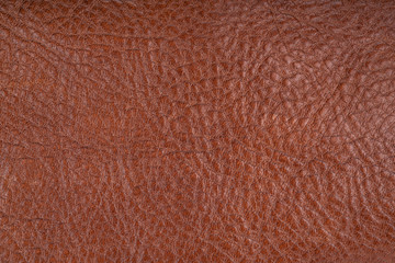 Fototapeta premium brown natural leather texture background
