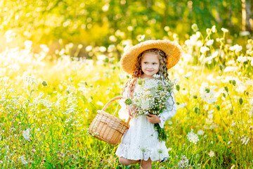 beautiful little girl in a white dress in summer in a yellow field with a basket of flowers