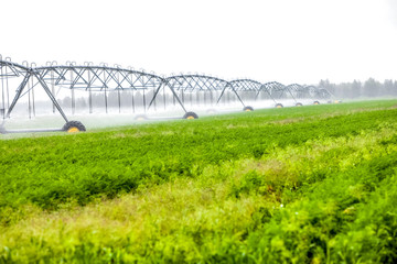 Fototapeta na wymiar Blurred green field landscape with automatical irrigation process
