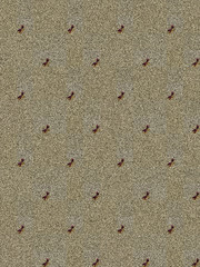 Dragonfly pattern