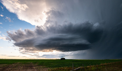 Obraz na płótnie Canvas Summer thunderstorm in the prairies