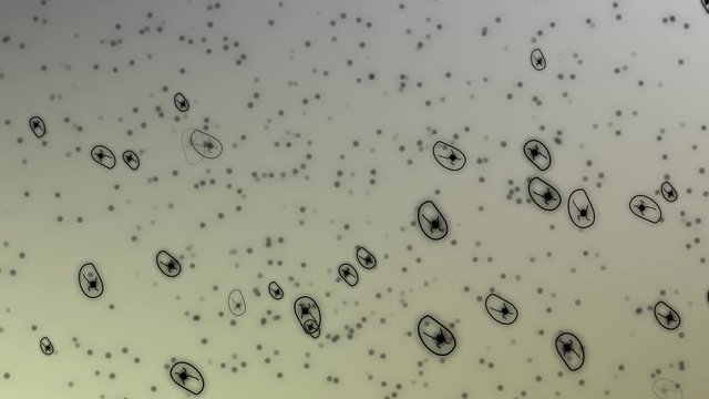 Animation of various bacteria under a microscope