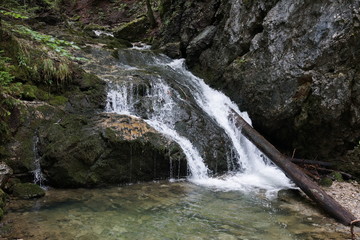 waterfall in the forest