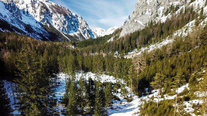 A drone shot of snow-capped Alps in Austria. There is a thick forest in the lower parts of the mountains. High mountains slopes are stony and barren. Clear and bright day. Winter Wonderland