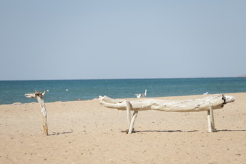 beach chairs on the beach
