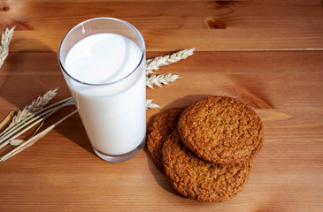 
Oatmeal cookies, a glass of milk, ears of wheat on the table 