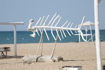 beach chairs and umbrellas
