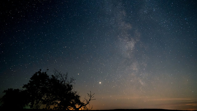 Starry night sky. Milky way and stars © Alik Mulikov